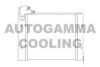 AUTOGAMMA 105999 Condenser, air conditioning